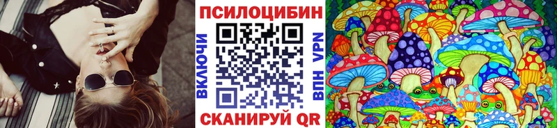 Псилоцибиновые грибы Cubensis  продажа наркотиков  Суворов 